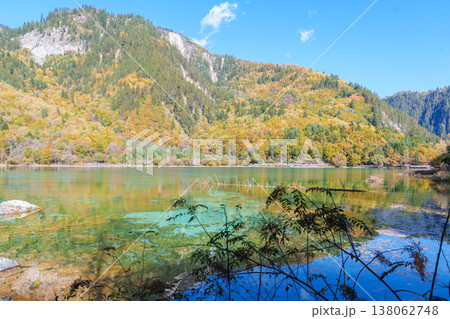 Scenery Jiuzhaigou national park in Sichuan, China. Beautiful Five Flower Lake in Autumn season. Famous Landmark and Vacation near Chengdu, China. Asia travel concept 138062748