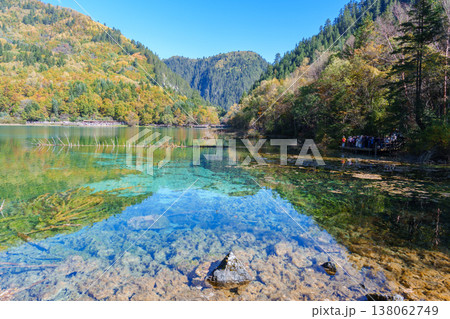 Scenery Jiuzhaigou national park in Sichuan, China. Beautiful Five Flower Lake in Autumn season. Famous Landmark and Vacation near Chengdu, China. Asia travel concept 138062749
