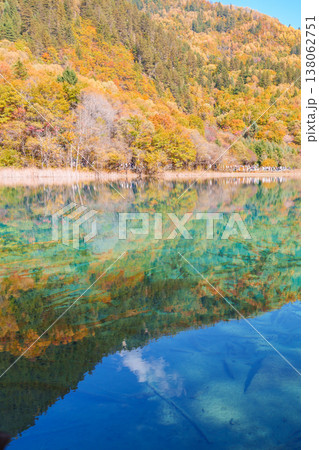 Scenery Jiuzhaigou national park in Sichuan, China. Beautiful Five Flower Lake in Autumn season. Famous Landmark and Vacation near Chengdu, China. Asia travel concept 138062751