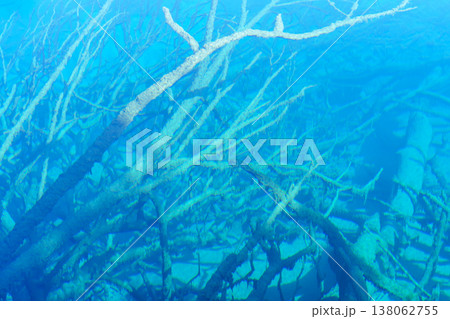 Scenery Jiuzhaigou national park in Sichuan, China. Beautiful clear water of Five Flower Lake in Autumn season. Famous Landmark and Vacation near Chengdu, China. Asia travel concept 138062755