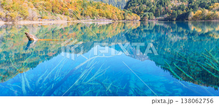 Scenery Jiuzhaigou national park in Sichuan, China. Beautiful Five Flower Lake in Autumn season. Famous Landmark and Vacation near Chengdu, China. Asia travel concept 138062756
