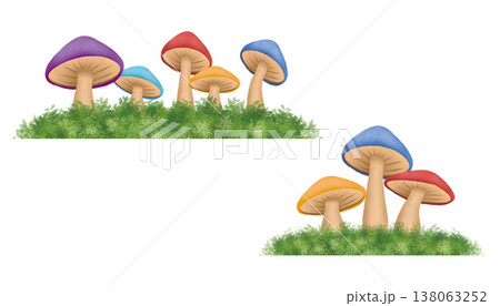 きのこ キノコ 茸 138063252