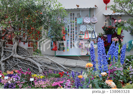 March 21 2026 Petrea Volubilis Purple Wreath Blooming Outdoors Garden 138063328