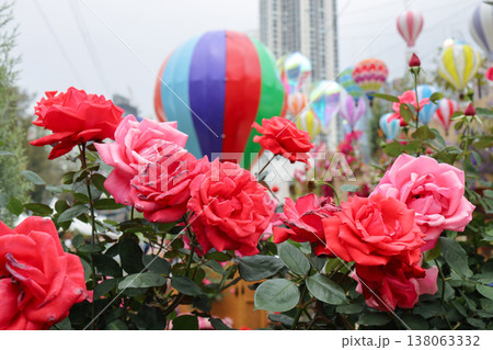 March 21 2026 Vibrant roses bloom beneath colorful rising hot air balloons 138063332