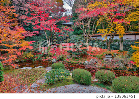 Serene Gozasho Garden at Sennyu ji Temple Kyoto Nov 28 2025 Serene Gozasho Garden at Sennyu ji Temple Kyoto Nov 28 2025 138063451