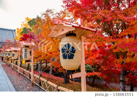 Washi paper lamp with red maple autumn glow Nov 28 2025 138063551