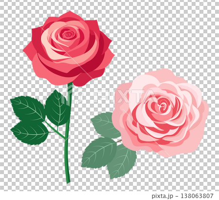 バラの花 138063807