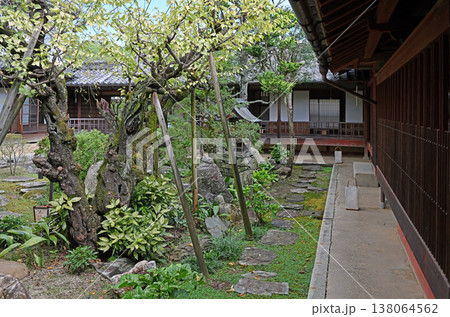 重要文化財の重厚な日本建築と趣深い中庭の緑が調和する愛媛県内子町の歴史的景観 重要文化財の重厚な日本建築と趣深い中庭の緑が調和する愛媛県内子町の歴史的景観 138064562