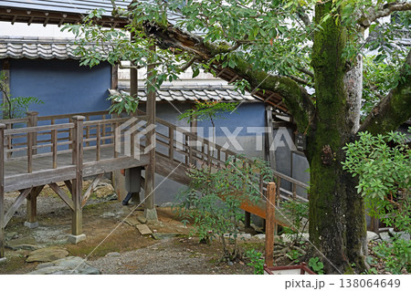 重要文化財の豪商屋敷に架かる風情ある木造の渡り廊下と青い漆喰壁が映える中庭の景観 138064649