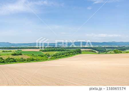 夏の北海道 緑と茶色のコントラストが美しい夏の美瑛周辺の風景(イメージ) 夏の北海道 緑と茶色のコントラストが美しい夏の美瑛周辺の風景(イメージ) 138065574