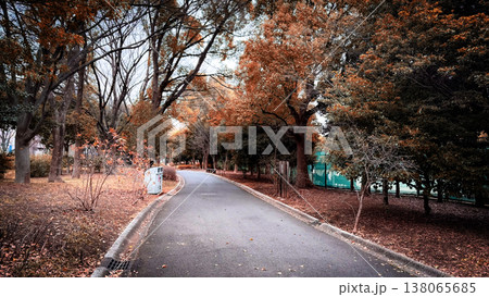 木場公園の穏やかな午後の景色 木場公園の穏やかな午後の景色 138065685