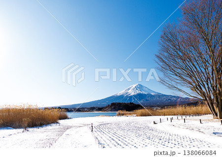 新雪積もる早春の河口湖大石公園 新雪積もる早春の河口湖大石公園 138066084