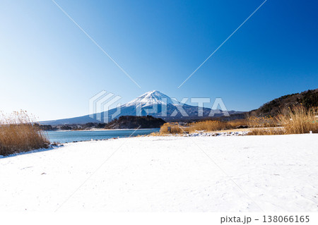 早春の河口湖の湖畔から富士山を望む 河口湖大石公園 早春の河口湖の湖畔から富士山を望む 河口湖大石公園 138066165