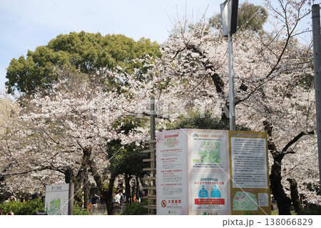 愛知県　名古屋市　昭和区　鶴舞公園 138066829