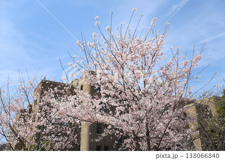 愛知県　名古屋市　昭和区　鶴舞公園 138066840