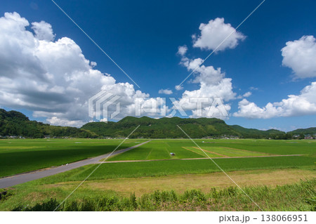 夏の田園風景 夏の田園風景 138066951