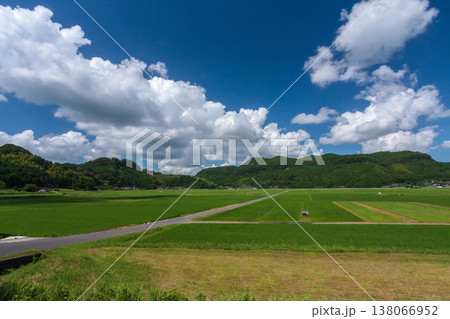 夏の田園風景 夏の田園風景 138066952