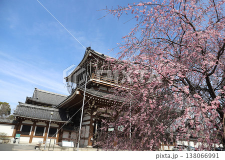 愛知県 名古屋市 中区 真宗大谷派 名古屋別院 東別院 愛知県 名古屋市 中区 真宗大谷派 名古屋別院 東別院 138066991