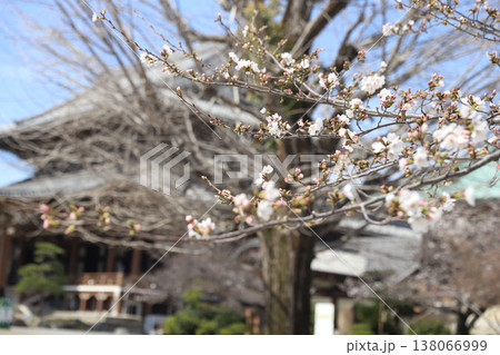愛知県　名古屋市　中区　真宗大谷派　名古屋別院　東別院 138066999