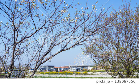 ソレイユの丘の冬 138067356