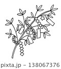七夕飾りの線画イラスト 138067376