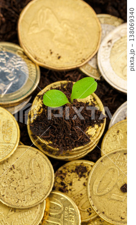 New plant grows from soil on a pile of coins in a close-up view under bright light New plant grows from soil on a pile of coins in a close-up view under bright light 138069340