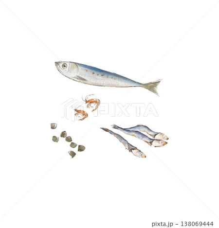 カルシウムを含む魚介類のイラスト 138069444