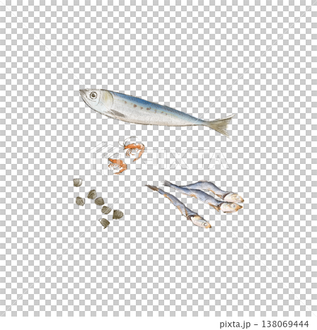 カルシウムを含む魚介類のイラスト 138069444