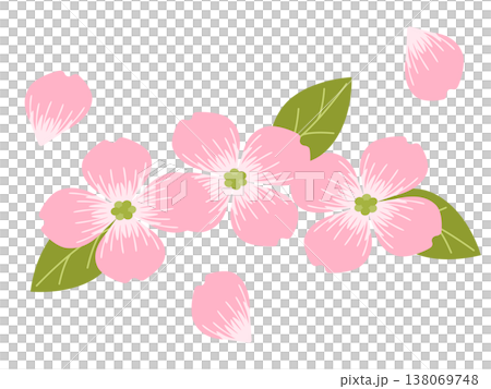 山茱萸圖標 山茱萸圖標 138069748