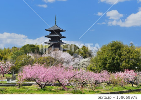 青空に映える五重塔 138069978
