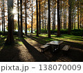 紅葉シーズンの水元公園「メタセコイアの森」ベンチ付近 138070009