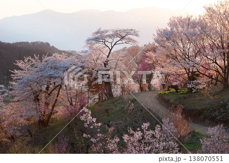 花見山夕景 花見山夕景 138070551