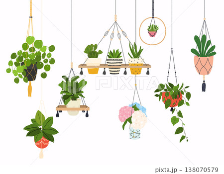 Set of macrame hangers for plants growing in pots. Flowerpot isolated objects, houseplant flower pot collection. Set of macrame hangers for plants growing in pots. Flowerpot isolated objects, houseplant flower pot collection. 138070579