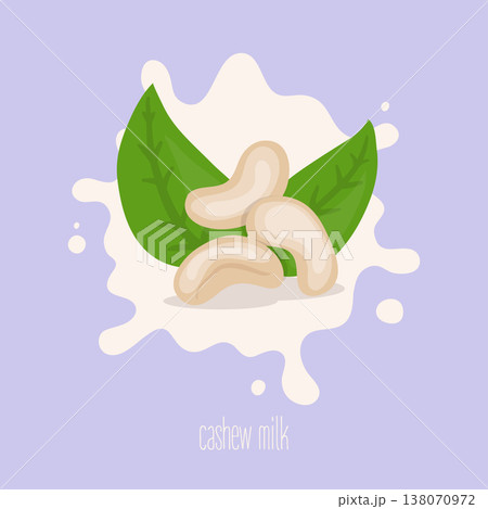 Cashew milk. Cashew nut on a milk splash. Vector illustration. 138070972