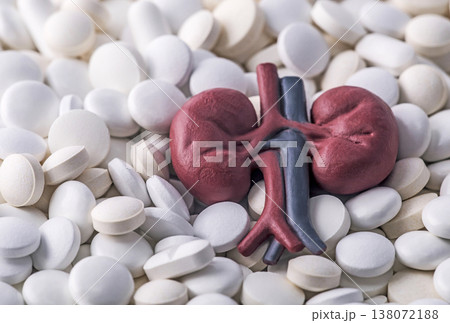 Human kidneys anatomical model with ureters on heap of many various pills and tablets. Urology health concept Human kidneys anatomical model with ureters on heap of many various pills and tablets. Urology health concept 138072188