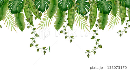 Tropical Hanging Leaves Seamless Border Tropical Hanging Leaves Seamless Border 138073170