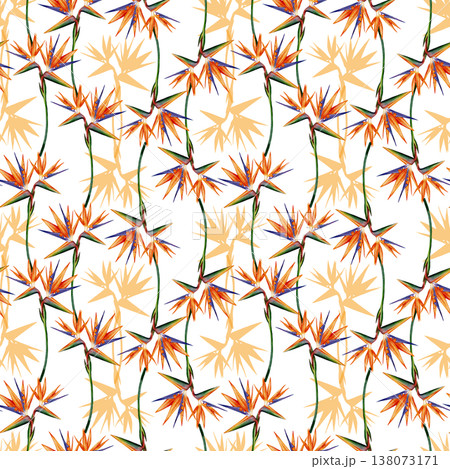 Strelitzia flower watercolor seamless pattern 138073171