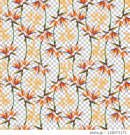 Strelitzia flower watercolor seamless pattern 138073171