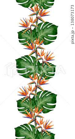 Tropical Monstera Strelitzia Vertical Border Tropical Monstera Strelitzia Vertical Border 138073173
