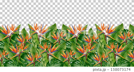 Bird of Paradise Tropical Seamless Border 138073174