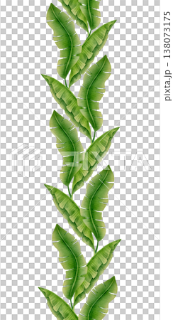 Tropical Banana Leaves Vertical Border 138073175
