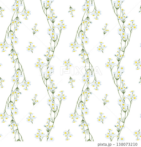 Daisy watercolor seamless pattern Daisy watercolor seamless pattern 138073210