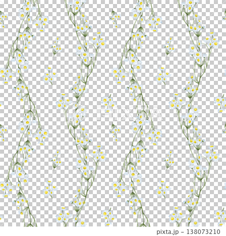 Daisy watercolor seamless pattern 138073210