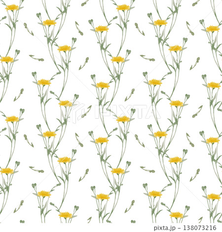 Dandelion watercolor seamless pattern Dandelion watercolor seamless pattern 138073216