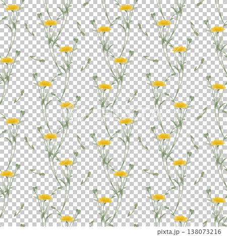 Dandelion watercolor seamless pattern 138073216