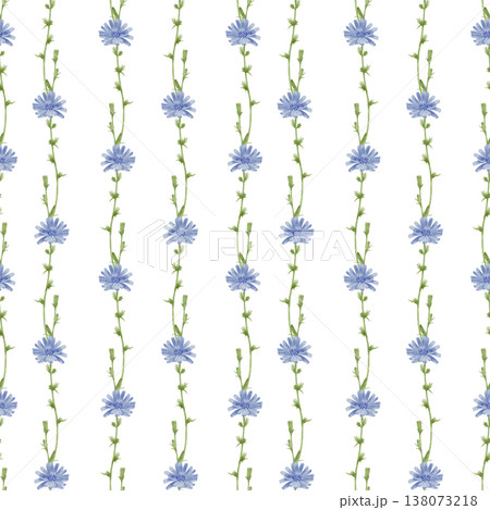 Chicory watercolor seamless pattern 138073218