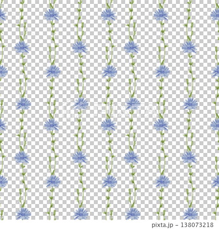 Chicory watercolor seamless pattern 138073218