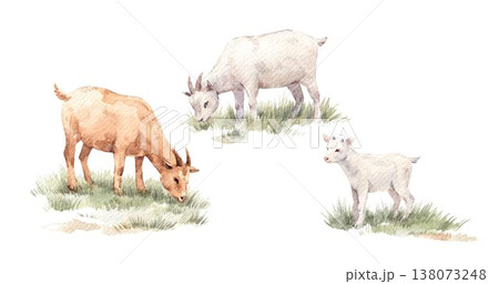Watercolor Farm Scene Builder Clipart Set Cows Tree Pasture Elements Rustic Countryside Illustration Bundle 138073248