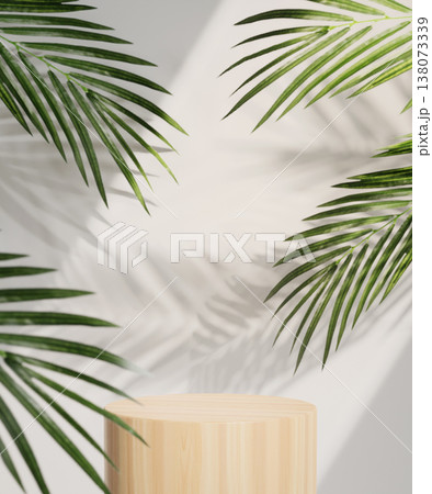 Podium highlighted by elegant palm leaves in a sophisticated backdrop. 3D render illustration Podium highlighted by elegant palm leaves in a sophisticated backdrop. 3D render illustration 138073339