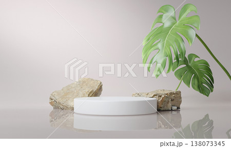 Podium display with large tropical leaves and natural stone elements. 3D render illustration 138073345